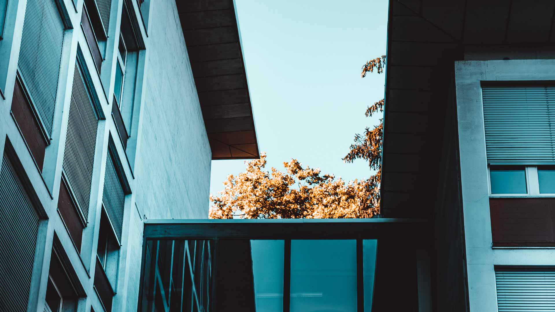 Kapitalanlage Immobilien